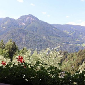 Hotel Pension Bichlgeiger cazare Anras