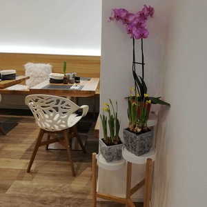 Hotel Flöckner B & B cazare Salzburg