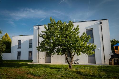 Hotel Zum Dorfmeister Wirt