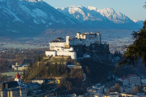 Amedeo Zotti Residence Salzburg