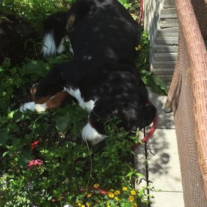 Hotel Aubauerngut cazare Radstadt