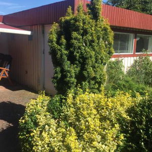 Hotel Risskov Bellevue Guesthouse cazare Arhus