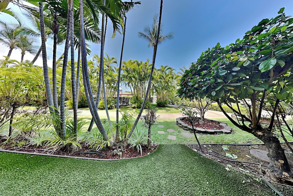 Maui Banyan G-105
