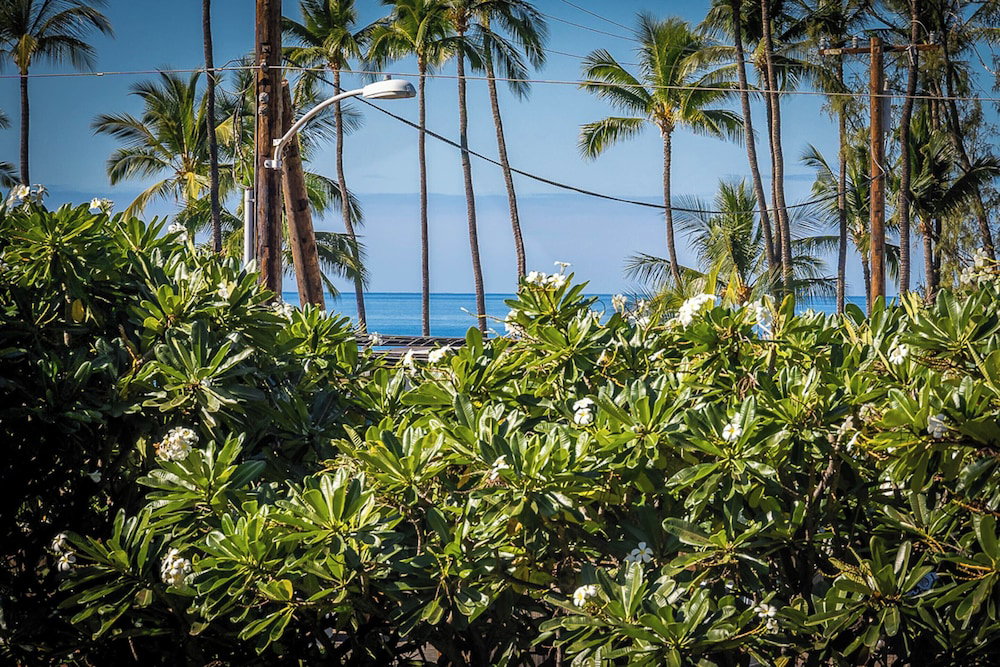 Maui Vista 1210 By Maui Rental Group
