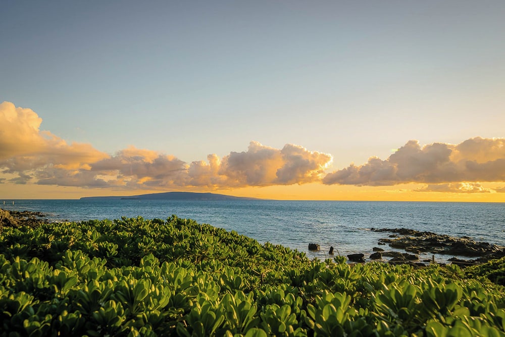 Maui Parkshore 116