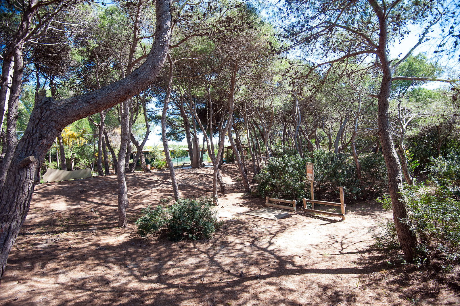 Hotel Ecoresort Le Sirene