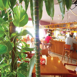 Hotel Hotel Jeni cazare Menorca