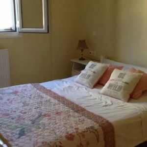 Sejur The Olive Grove vacanta Zante Town