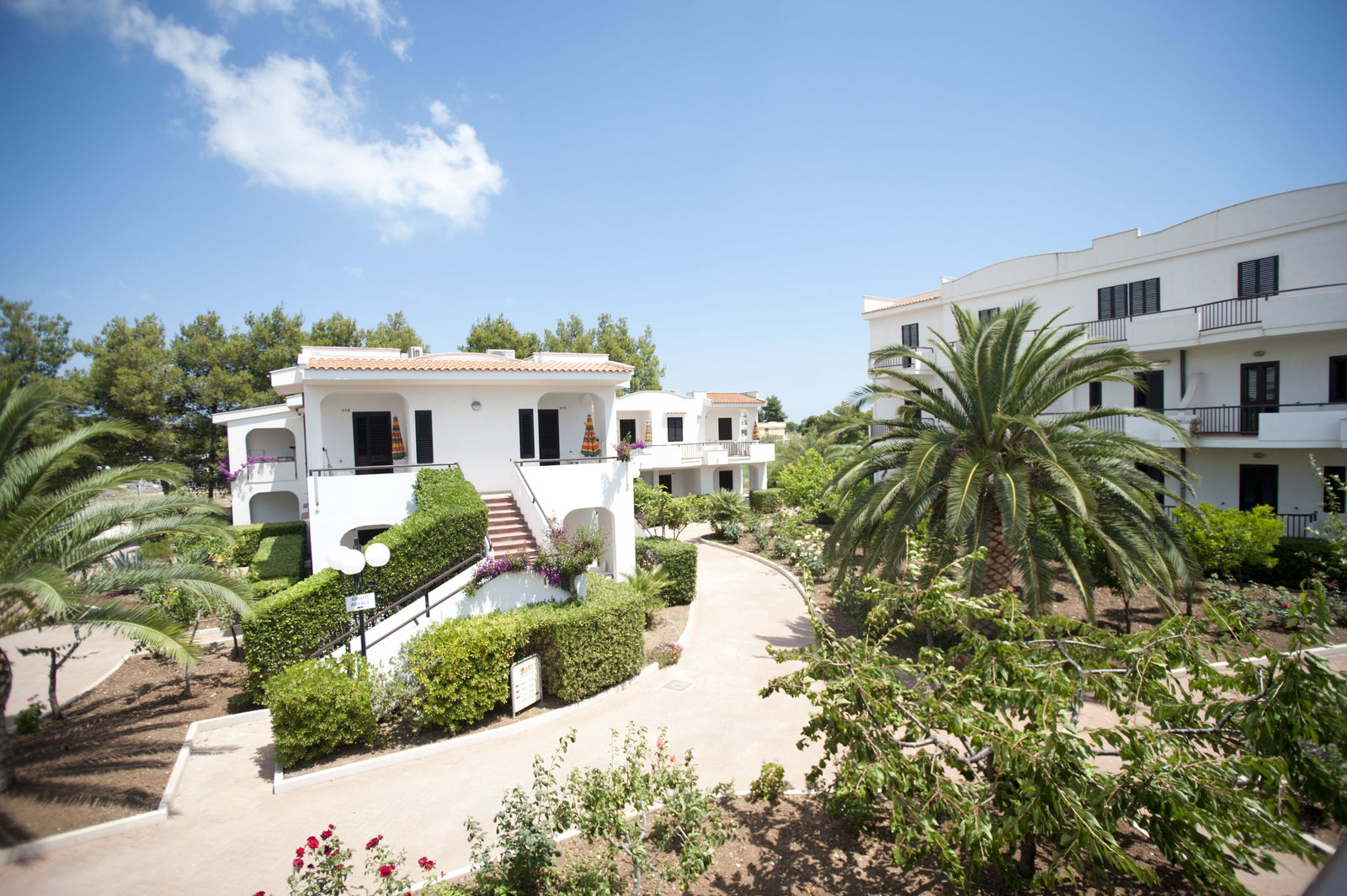 Hotel Oasi Club Hotel