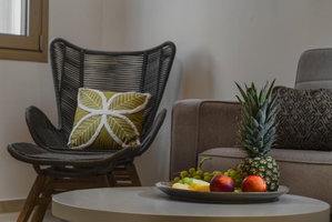Hotel Andy And Haris Elegant Town Studios cazare Zante Town