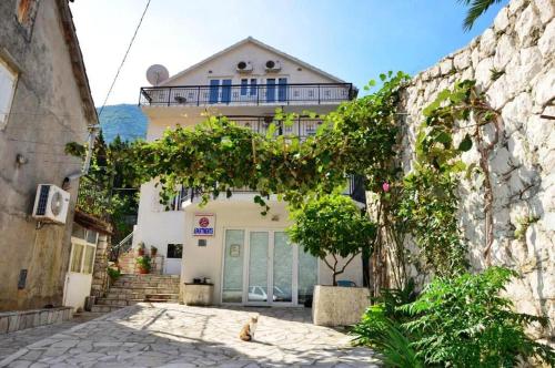 Apartments Djurovic