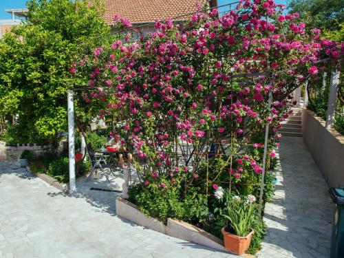 Hotel Apartments Azure Adriatic