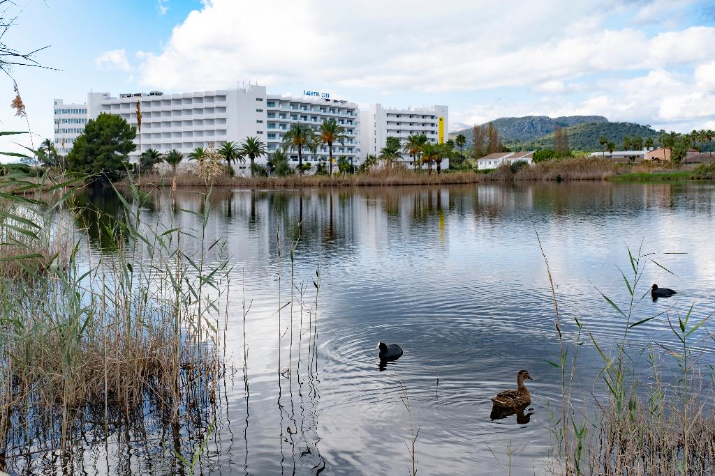 dal travel Eix Lagotel