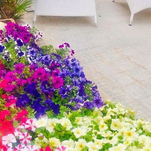 Hotel Araba Fenice cazare San Vito Lo Capo