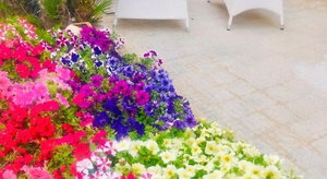 Hotel Araba Fenice cazare San Vito Lo Capo