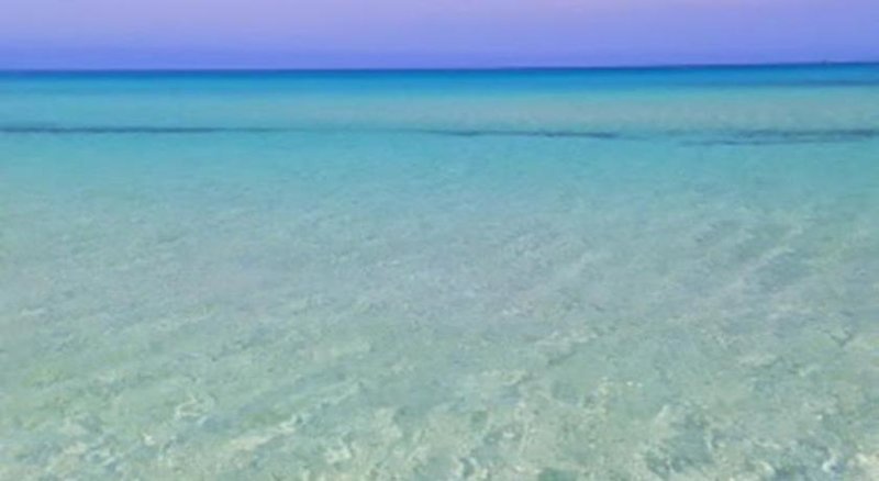 Araba Fenice