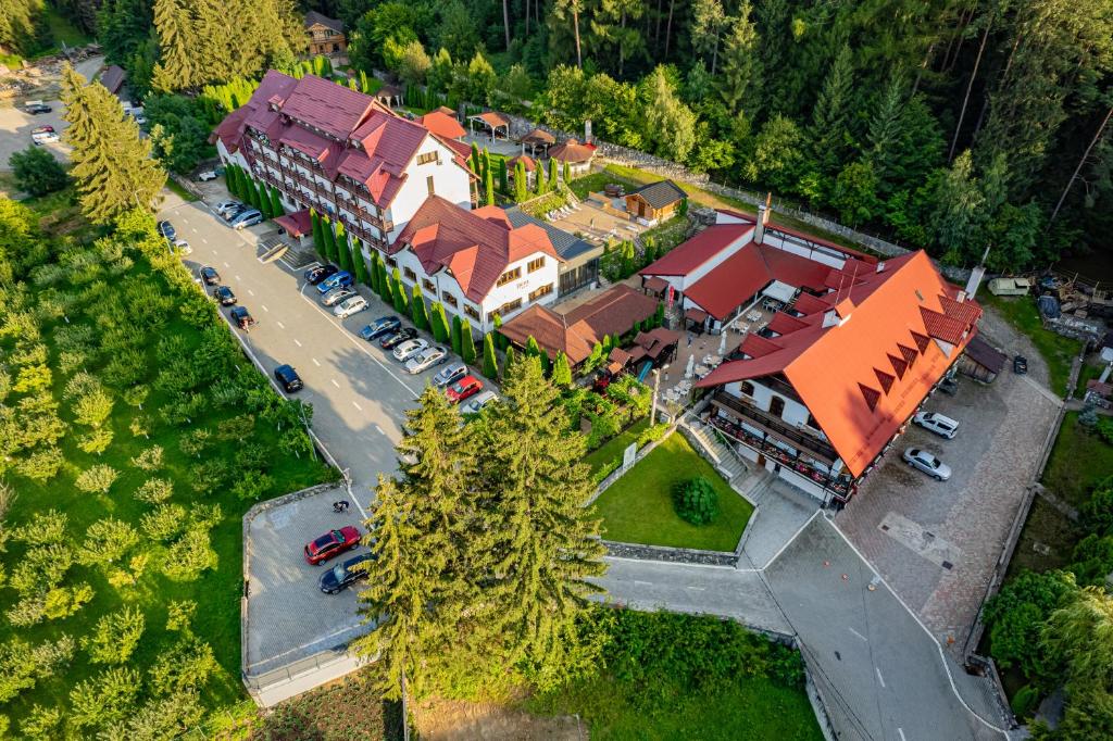Q Resort Hotel