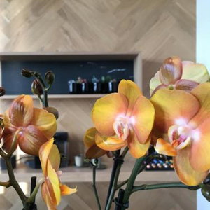 Hotel Kaai11 Cityflats And Rooms cazare Antwerpen