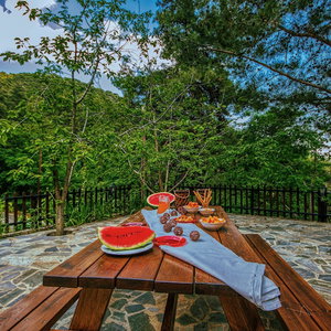Hotel Amazing Villa In Pano Platres Cyprus cazare Cipru de Sud