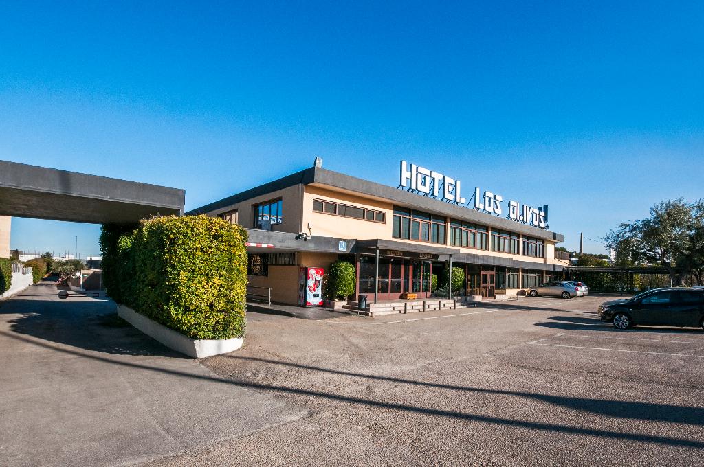 Hotel Hotel Los Olivos