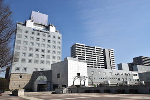 Hotel Hotel Nikko Tsukuba cazare Tsukuba