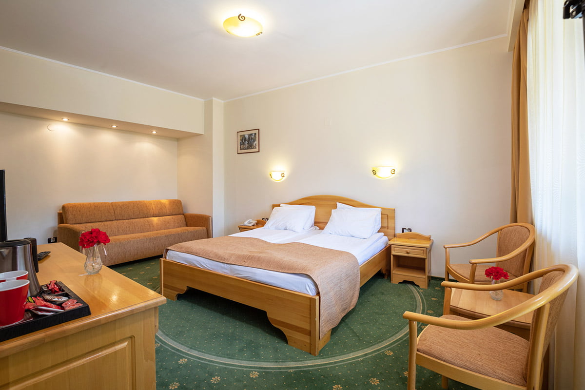 Hotel Casa Viorel