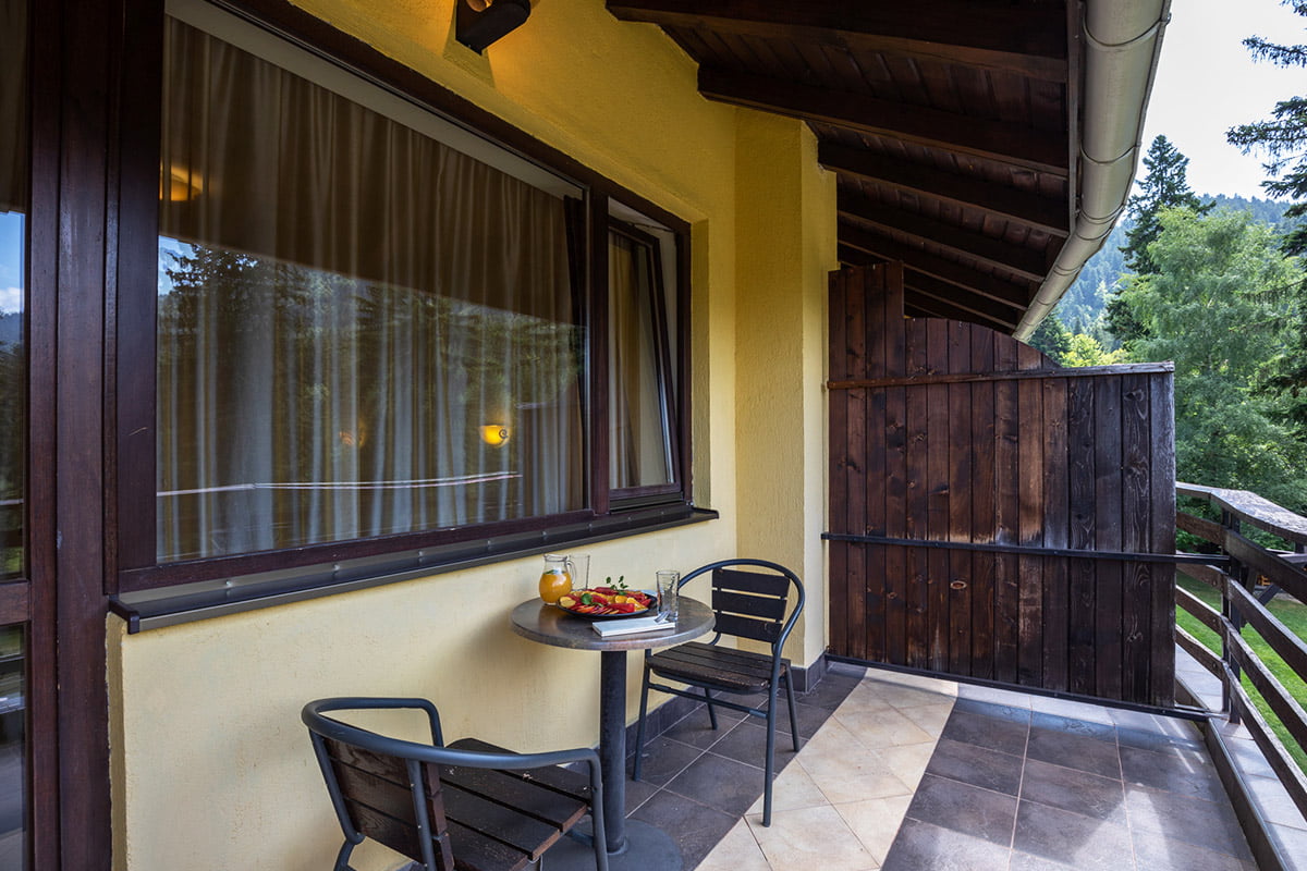 Hotel Casa Viorel