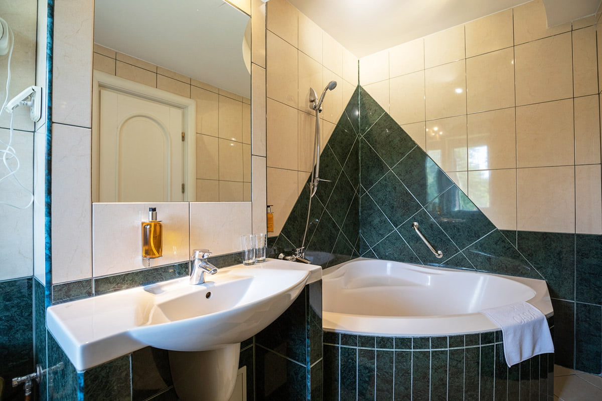 Hotel Casa Viorel