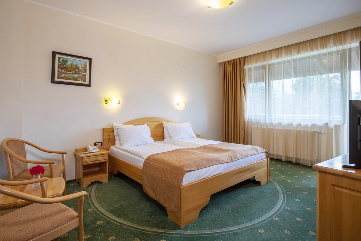 Hotel Casa Viorel