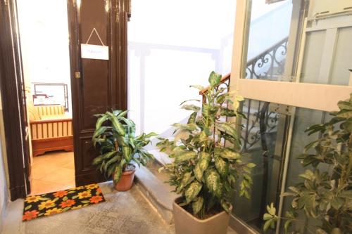 Hotel Bed & Breakfast 7 Archi