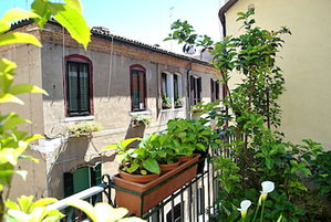 Hotel Carlton Capri cazare Alberoni