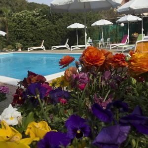 Hotel Villa Paola cazare Loano