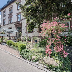 Hotel Hotel Promenade cazare Schaffhausen