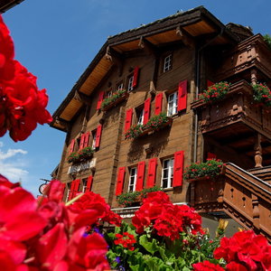 Hotel Hotel Walliserkanne cazare Grachen