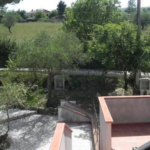 Sejur B&B Il Rifugio Di Nino vacanta Contursi Terme