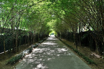 Twin Lotus Resort And Spa