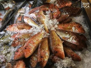 Hotel Residence Gran Duca