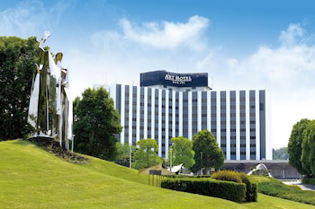 Hotel Narita View
