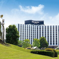 Hotel Narita View cazare Inba