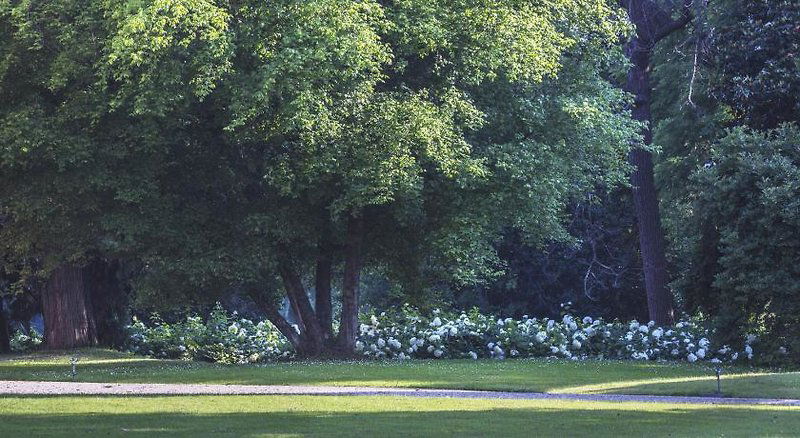 Hotel Villa Doria Il Torrione