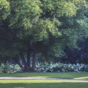 Hotel Villa Doria Il Torrione cazare Pinerolo