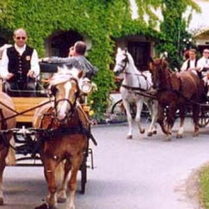 Hotel Reiterhof Sonja cazare Apetlon