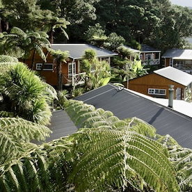 Hotel Anchor Lodge Resort cazare Coromandel
