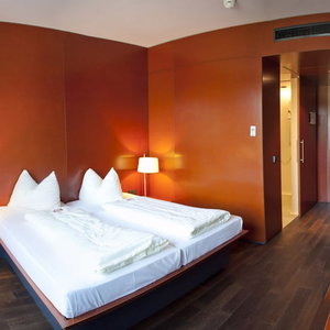 Hotel Rosenberger Motor-Hotel Ansfelden cazare Ansfelden