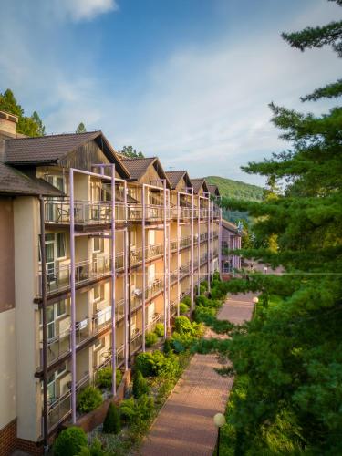Hotel Hotel Solina Resort And Spa