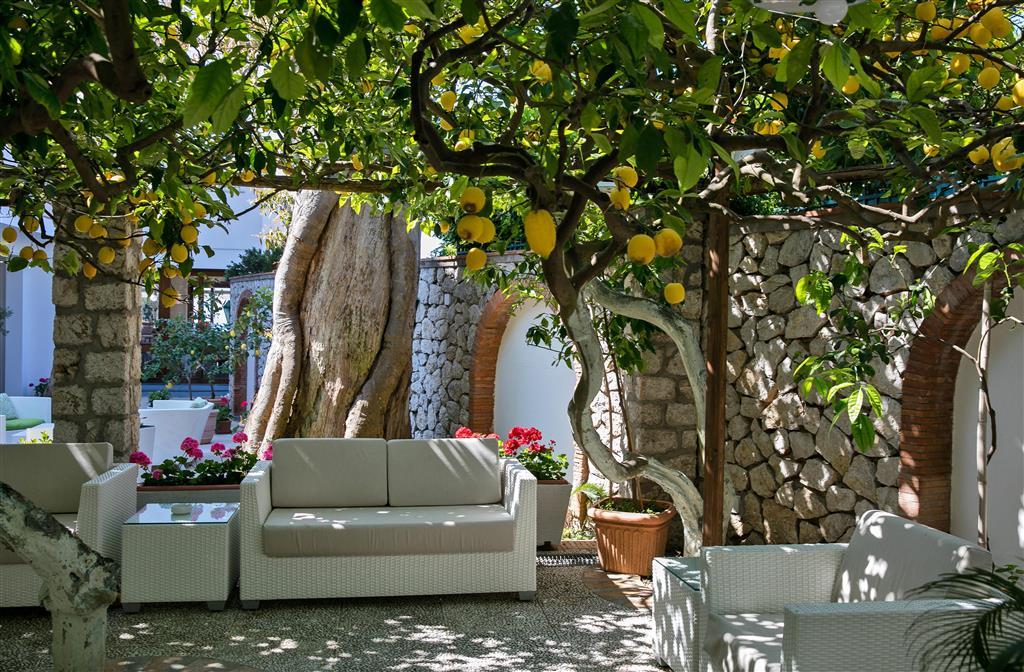 Hotel Syrene