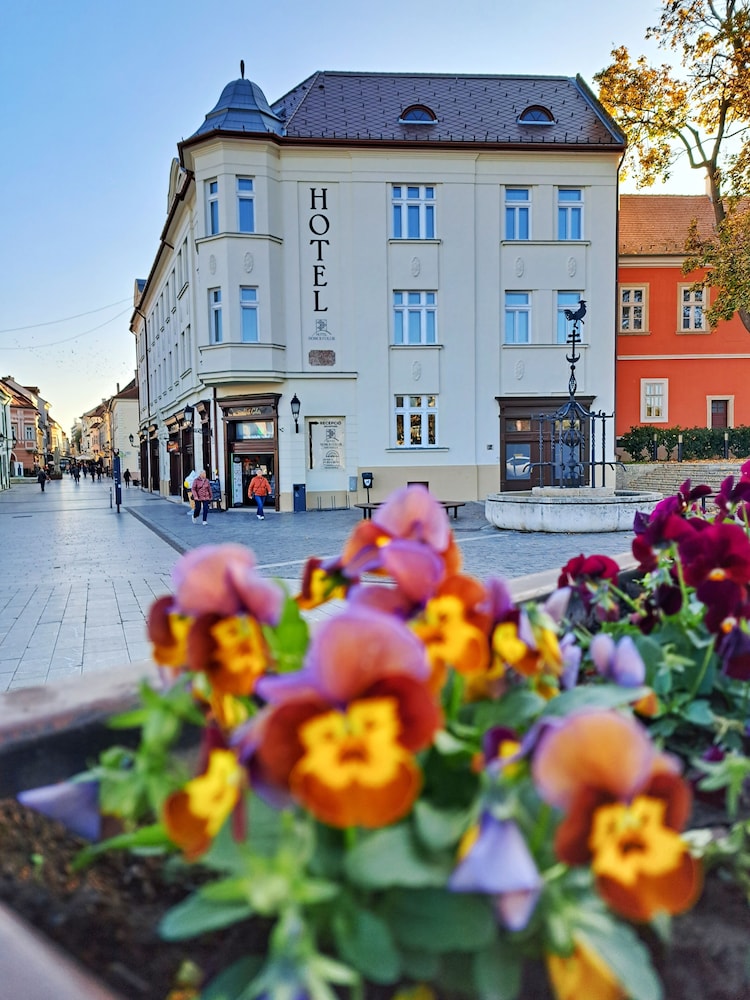 Hotel Hotel Domus Collis