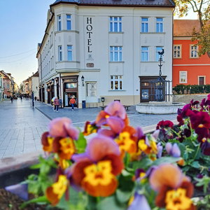 Hotel Hotel Domus Collis cazare Gyor