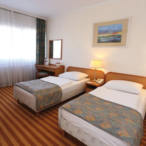 Hotel Raba City Centre cazare Gyor