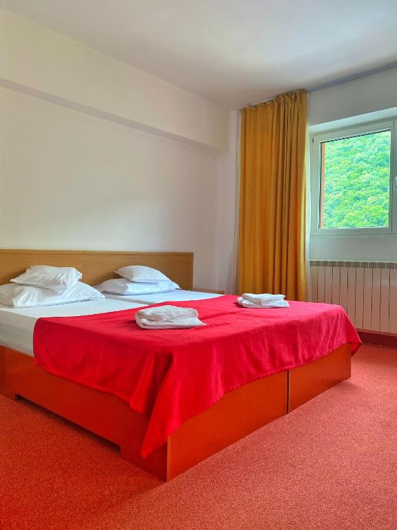 Hotel International